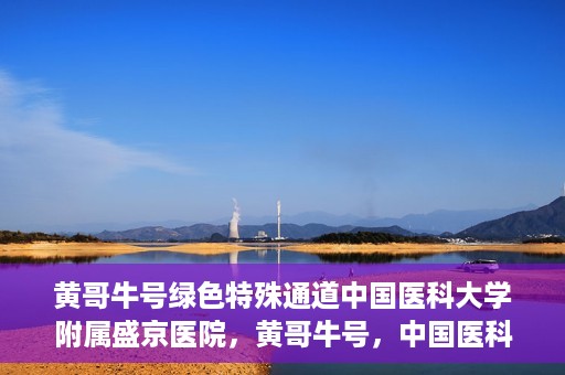 黄哥牛号绿色特殊通道中国医科大学附属盛京医院，黄哥牛号，中国医科大学附属盛京医院开启绿色特殊通道助力医疗进步