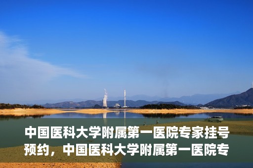 中国医科大学附属第一医院专家挂号预约，中国医科大学附属第一医院专家挂号预约攻略，一站式解决您的就医难题