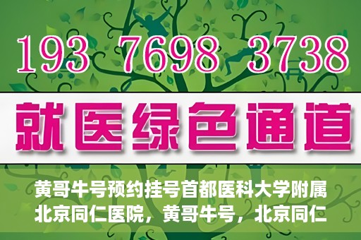 黄哥牛号预约挂号首都医科大学附属北京同仁医院，黄哥牛号，北京同仁医院预约挂号攻略
