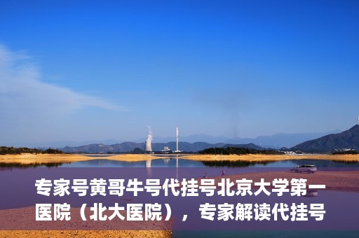 专家号黄哥牛号代挂号北京大学第一医院（北大医院），专家解读代挂号现象，黄哥牛号与北京大学第一医院的挑战与应对