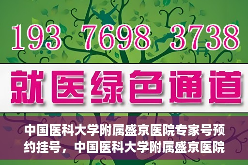 中国医科大学附属盛京医院专家号预约挂号，中国医科大学附属盛京医院专家号预约挂号攻略解析