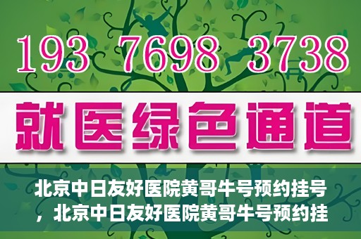 北京中日友好医院黄哥牛号预约挂号，北京中日友好医院黄哥牛号预约挂号指南