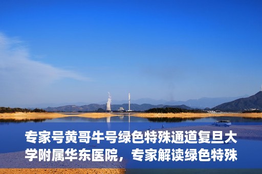 专家号黄哥牛号绿色特殊通道复旦大学附属华东医院，专家解读绿色特殊通道，复旦大学附属华东医院黄哥牛号现象揭秘