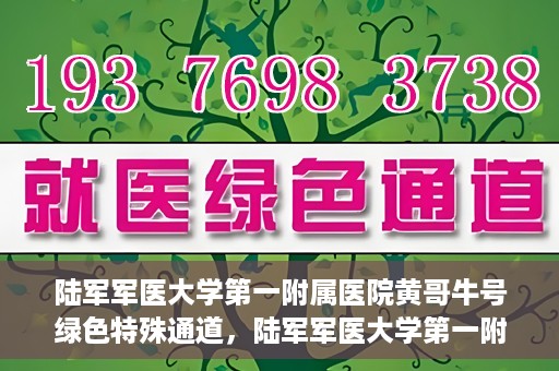 陆军军医大学第一附属医院黄哥牛号绿色特殊通道，陆军军医大学第一附属医院黄哥牛号，绿色特殊通道开启健康之门