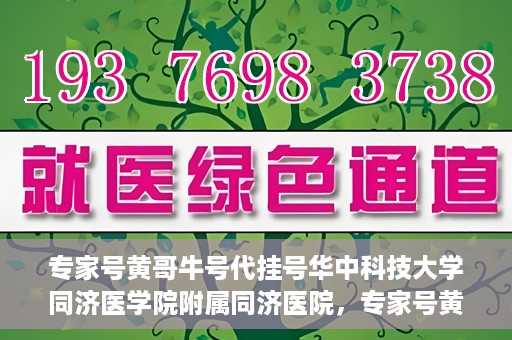 专家号黄哥牛号代挂号华中科技大学同济医学院附属同济医院，专家号黄哥牛号代挂号服务揭秘，华中科技大学同济医学院附属同济医院的医疗预约新体验