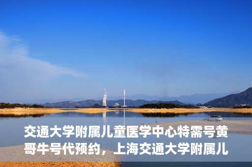 交通大学附属儿童医学中心特需号黄哥牛号代预约，上海交通大学附属儿童医学中心特需号专家黄哥预约服务解析