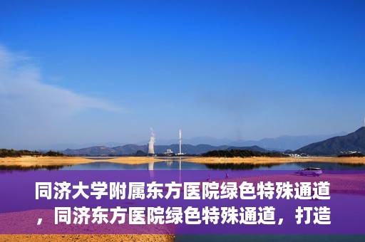 同济大学附属东方医院绿色特殊通道，同济东方医院绿色特殊通道，打造健康之路的新篇章