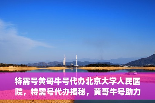 特需号黄哥牛号代办北京大学人民医院，特需号代办揭秘，黄哥牛号助力北京大学人民医院就医流程优化