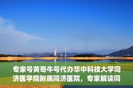 专家号黄哥牛号代办华中科技大学同济医学院附属同济医院，专家解读同济医院黄哥牛号代办服务，深度解析与体验分享