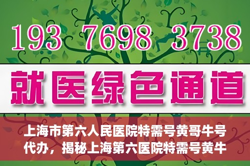 上海市第六人民医院特需号黄哥牛号代办，揭秘上海第六医院特需号黄牛现象，黄哥牛号代办背后的故事