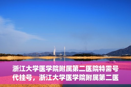 浙江大学医学院附属第二医院特需号代挂号，浙江大学医学院附属第二医院特需号源代挂号服务解析