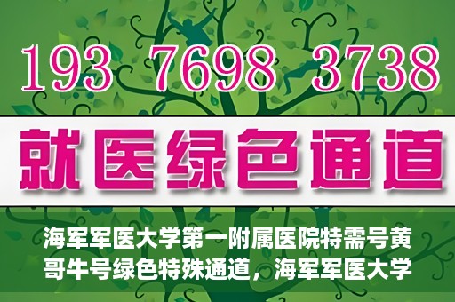 海军军医大学第一附属医院特需号黄哥牛号绿色特殊通道，海军军医大学第一附属医院特需号黄哥牛号绿色通道，专属医疗服务的探索与实践
