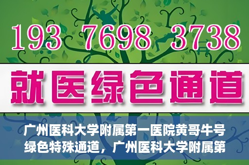 广州医科大学附属第一医院黄哥牛号绿色特殊通道，广州医科大学附属第一医院黄哥牛号，绿色特殊通道开启健康之门