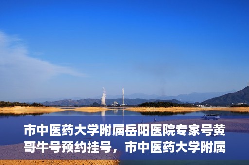 市中医药大学附属岳阳医院专家号黄哥牛号预约挂号，市中医药大学附属岳阳医院专家黄哥牛号预约挂号攻略