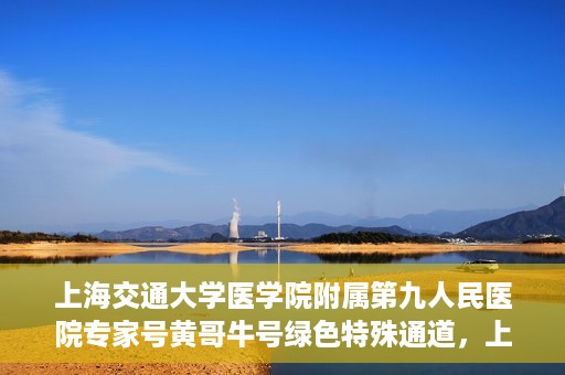 上海交通大学医学院附属第九人民医院专家号黄哥牛号绿色特殊通道，上海交通大学医学院附属第九人民医院专家号黄哥牛号，绿色特殊通道开启健康之门