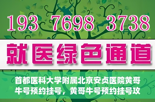 首都医科大学附属北京安贞医院黄哥牛号预约挂号，黄哥牛号预约挂号攻略，首都医科大学附属北京安贞医院就医指南