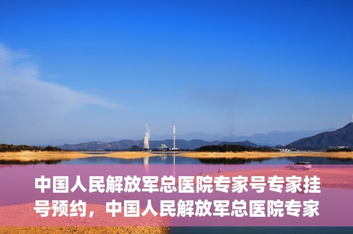 中国人民解放军总医院专家号专家挂号预约，中国人民解放军总医院专家号预约挂号攻略