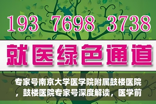 专家号南京大学医学院附属鼓楼医院，鼓楼医院专家号深度解读，医学前沿与诊疗之道