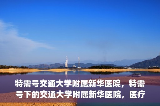 特需号交通大学附属新华医院，特需号下的交通大学附属新华医院，医疗服务的卓越典范