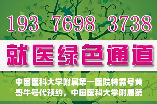 中国医科大学附属第一医院特需号黄哥牛号代预约，中国医科大学附属第一医院特需号名医预约服务解析——黄哥牛号预约服务详解