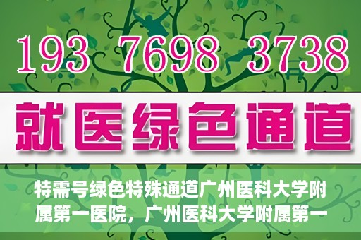 特需号绿色特殊通道广州医科大学附属第一医院，广州医科大学附属第一医院特需号绿色特殊通道，打造高品质医疗服务体验