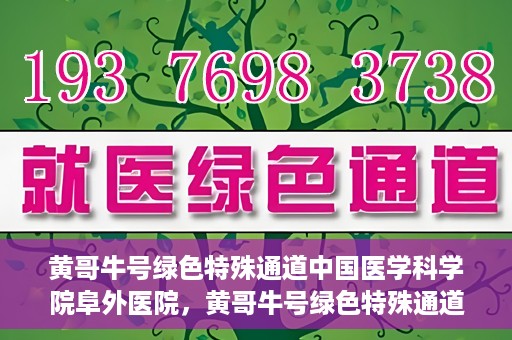 黄哥牛号绿色特殊通道中国医学科学院阜外医院，黄哥牛号绿色特殊通道，阜外医院的中国医学探索之旅