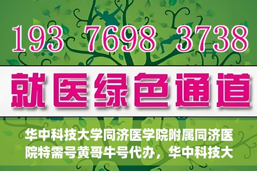 华中科技大学同济医学院附属同济医院特需号黄哥牛号代办，华中科技大学同济医院特需号专家黄哥牛号预约代办服务解析
