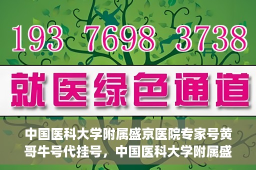 中国医科大学附属盛京医院专家号黄哥牛号代挂号，中国医科大学附属盛京医院专家号黄哥牛号代挂号服务解析