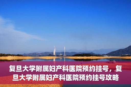 复旦大学附属妇产科医院预约挂号，复旦大学附属妇产科医院预约挂号攻略与指南