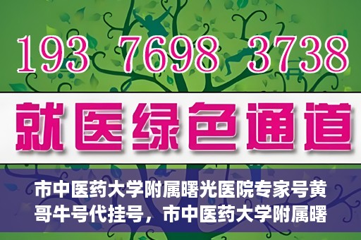 市中医药大学附属曙光医院专家号黄哥牛号代挂号，市中医药大学附属曙光医院专家黄哥牛号代挂号解析，解读名医背后的信赖与责任