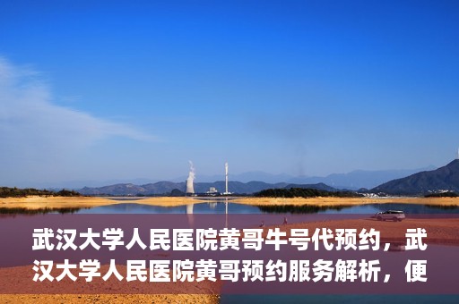 武汉大学人民医院黄哥牛号代预约，武汉大学人民医院黄哥预约服务解析，便捷医疗，牛号代预约新体验