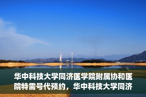 华中科技大学同济医学院附属协和医院特需号代预约，华中科技大学同济医学院附属协和医院特需号预约服务解析