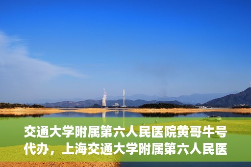 交通大学附属第六人民医院黄哥牛号代办，上海交通大学附属第六人民医院黄哥牛号代办服务解析