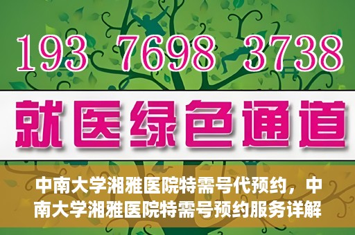 中南大学湘雅医院特需号代预约，中南大学湘雅医院特需号预约服务详解，便捷代预约，就医更无忧