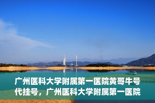 广州医科大学附属第一医院黄哥牛号代挂号，广州医科大学附属第一医院黄哥挂号攻略，轻松解决代挂号问题