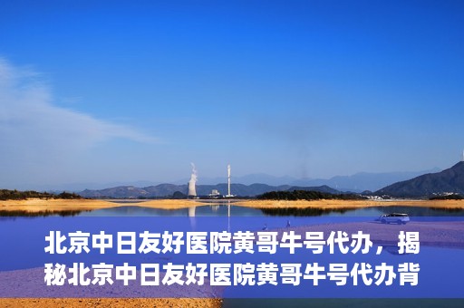 北京中日友好医院黄哥牛号代办，揭秘北京中日友好医院黄哥牛号代办背后的故事