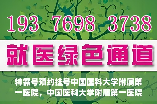 特需号预约挂号中国医科大学附属第一医院，中国医科大学附属第一医院特需号预约挂号服务详解