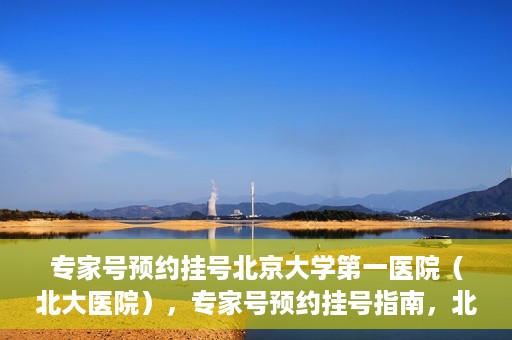 专家号预约挂号北京大学第一医院（北大医院），专家号预约挂号指南，北京大学第一医院（北大医院）就医攻略