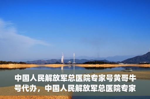 中国人民解放军总医院专家号黄哥牛号代办，中国人民解放军总医院专家号代办服务揭秘，黄哥牛号助您轻松预约专家资源