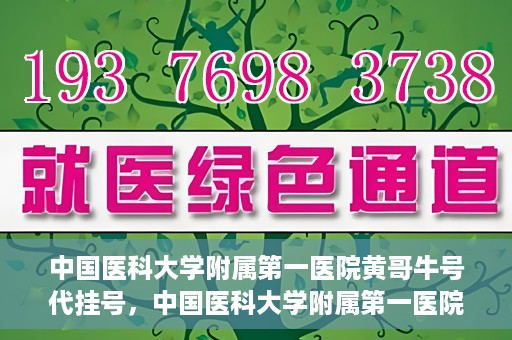 中国医科大学附属第一医院黄哥牛号代挂号，中国医科大学附属第一医院黄哥牛号代挂号服务详解