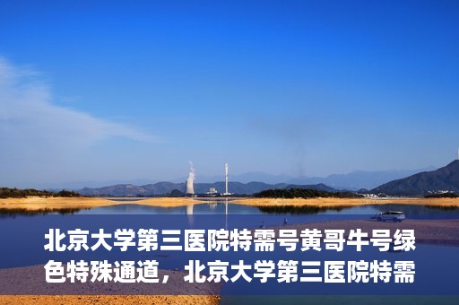 北京大学第三医院特需号黄哥牛号绿色特殊通道，北京大学第三医院特需号专家黄哥牛号，绿色就医通道揭秘
