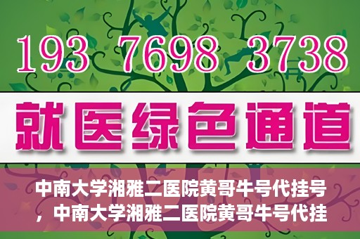 中南大学湘雅二医院黄哥牛号代挂号，中南大学湘雅二医院黄哥牛号代挂号，便捷就医背后的故事