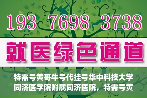 特需号黄哥牛号代挂号华中科技大学同济医学院附属同济医院，特需号黄哥牛号同济医院代挂号揭秘，同济医院就医攻略