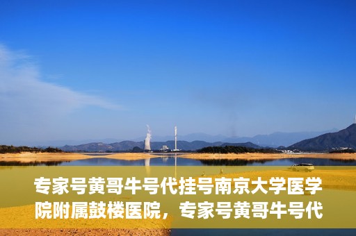 专家号黄哥牛号代挂号南京大学医学院附属鼓楼医院，专家号黄哥牛号代挂号服务揭秘，鼓楼医院背后的故事