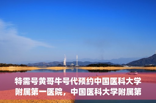 特需号黄哥牛号代预约中国医科大学附属第一医院，中国医科大学附属第一医院特需号黄哥牛号预约服务解析