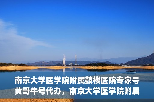 南京大学医学院附属鼓楼医院专家号黄哥牛号代办，南京大学医学院附属鼓楼医院专家号代办服务解析，黄哥牛号代办揭秘
