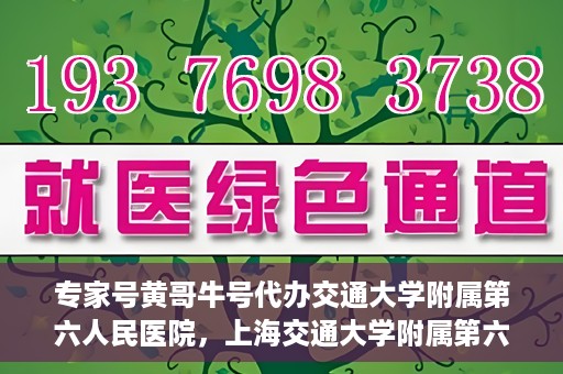 专家号黄哥牛号代办交通大学附属第六人民医院，上海交通大学附属第六人民医院专家号代办服务揭秘，黄哥牛号引领就医新风尚