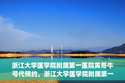 浙江大学医学院附属第一医院黄哥牛号代预约，浙江大学医学院附属第一医院黄哥牛号预约攻略揭秘