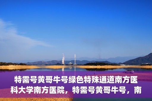 特需号黄哥牛号绿色特殊通道南方医科大学南方医院，特需号黄哥牛号，南方医科大学南方医院开启绿色特殊通道