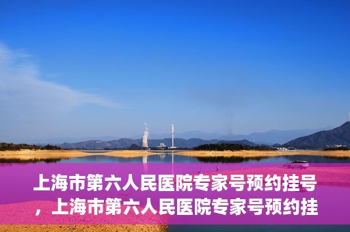 上海市第六人民医院专家号预约挂号，上海市第六人民医院专家号预约挂号攻略解析